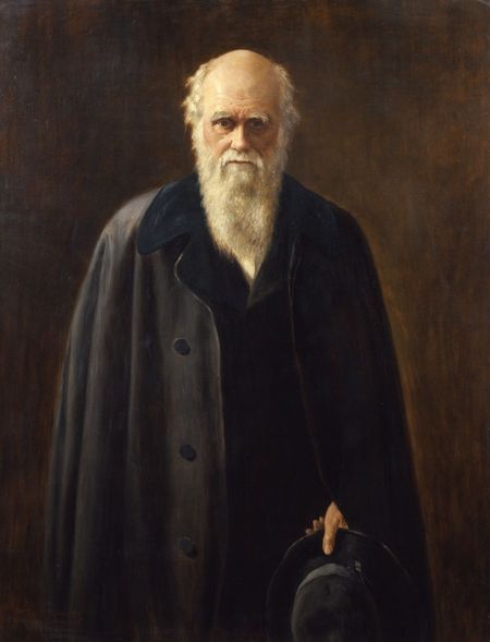 Чарлз Дарвин, трансджендър